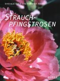 Strauchp&auml;onien