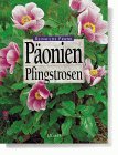P&auml;onien. Pfingstrosen.