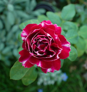 Baron Girod de l'Ain