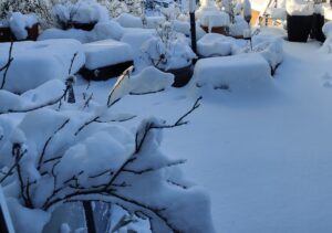 Garten im Schnee